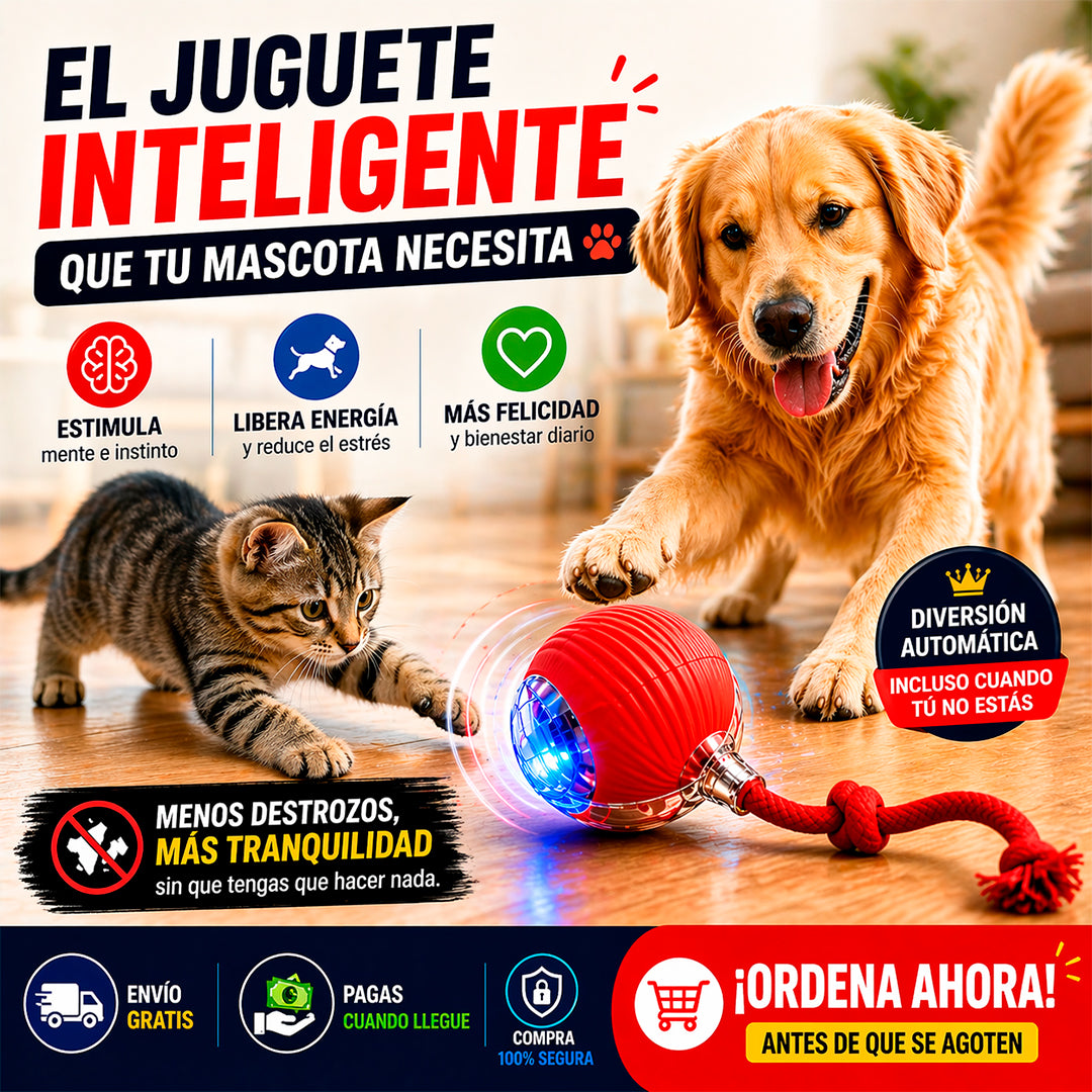 Pelota interactiva para tu mascota